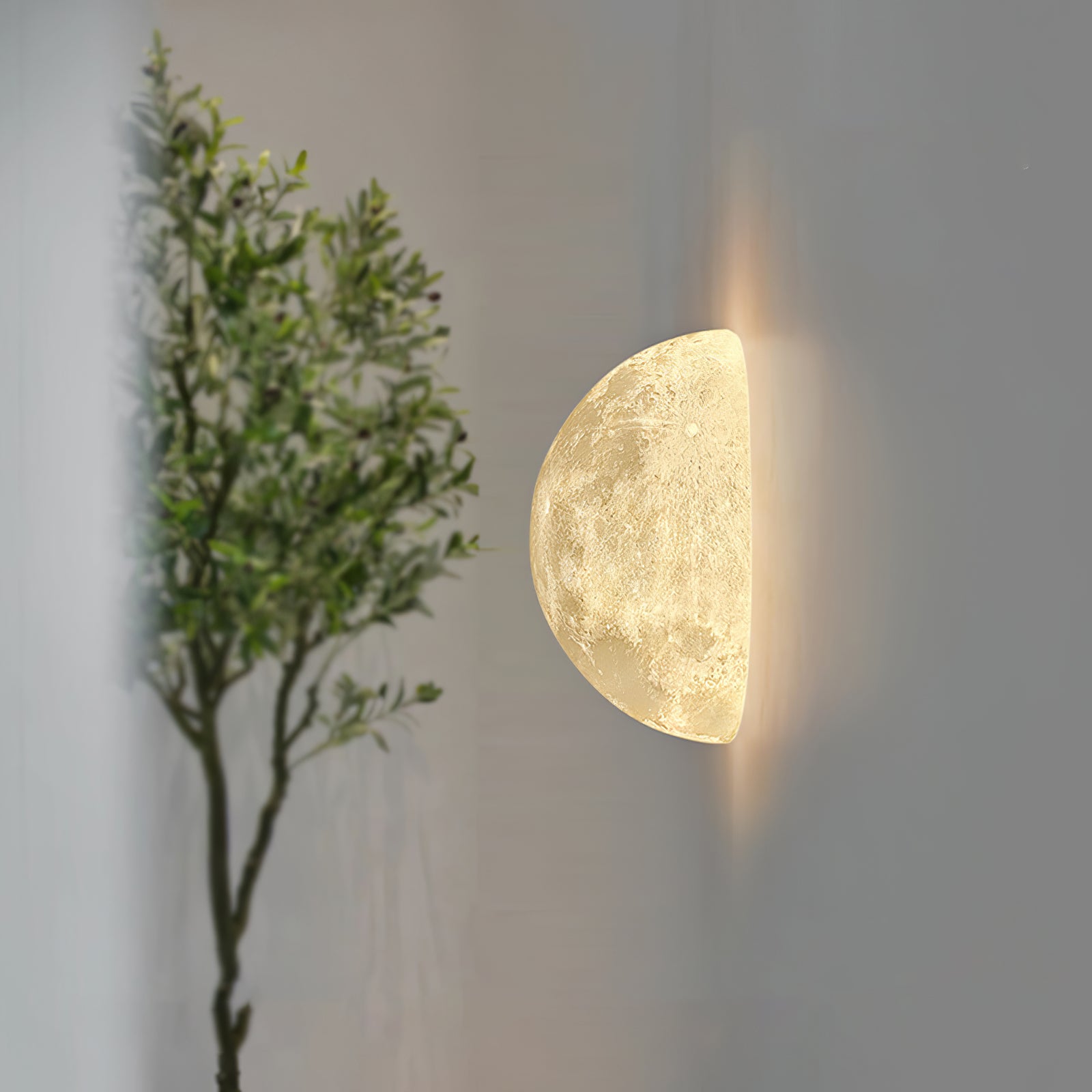 Moon 3D Aplique
