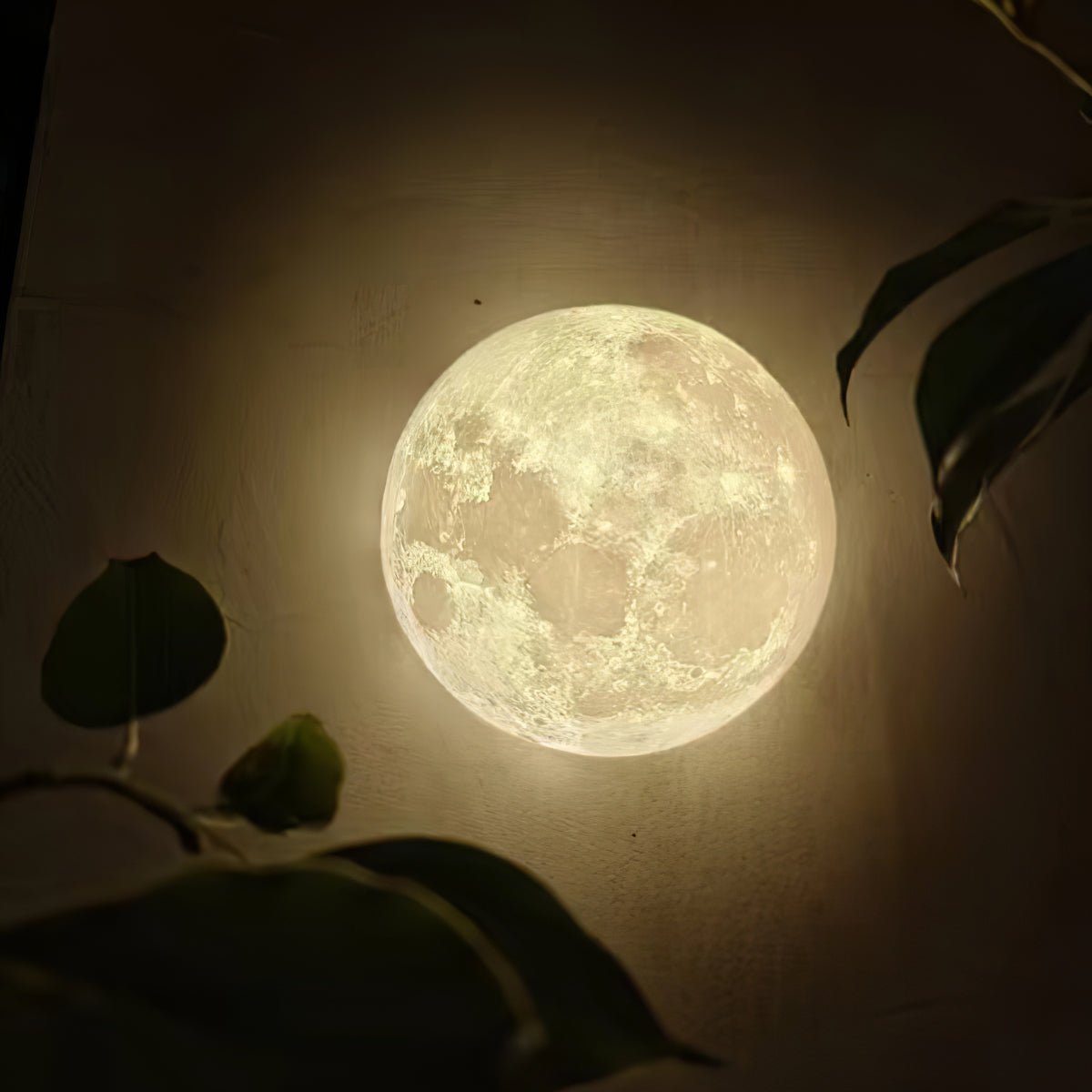 Moon 3D Aplique