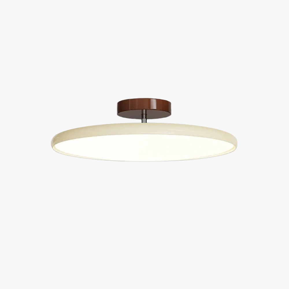 Hailie Minimalismo Metal Acrílico Lámpara de Techo Dormitorio Salón