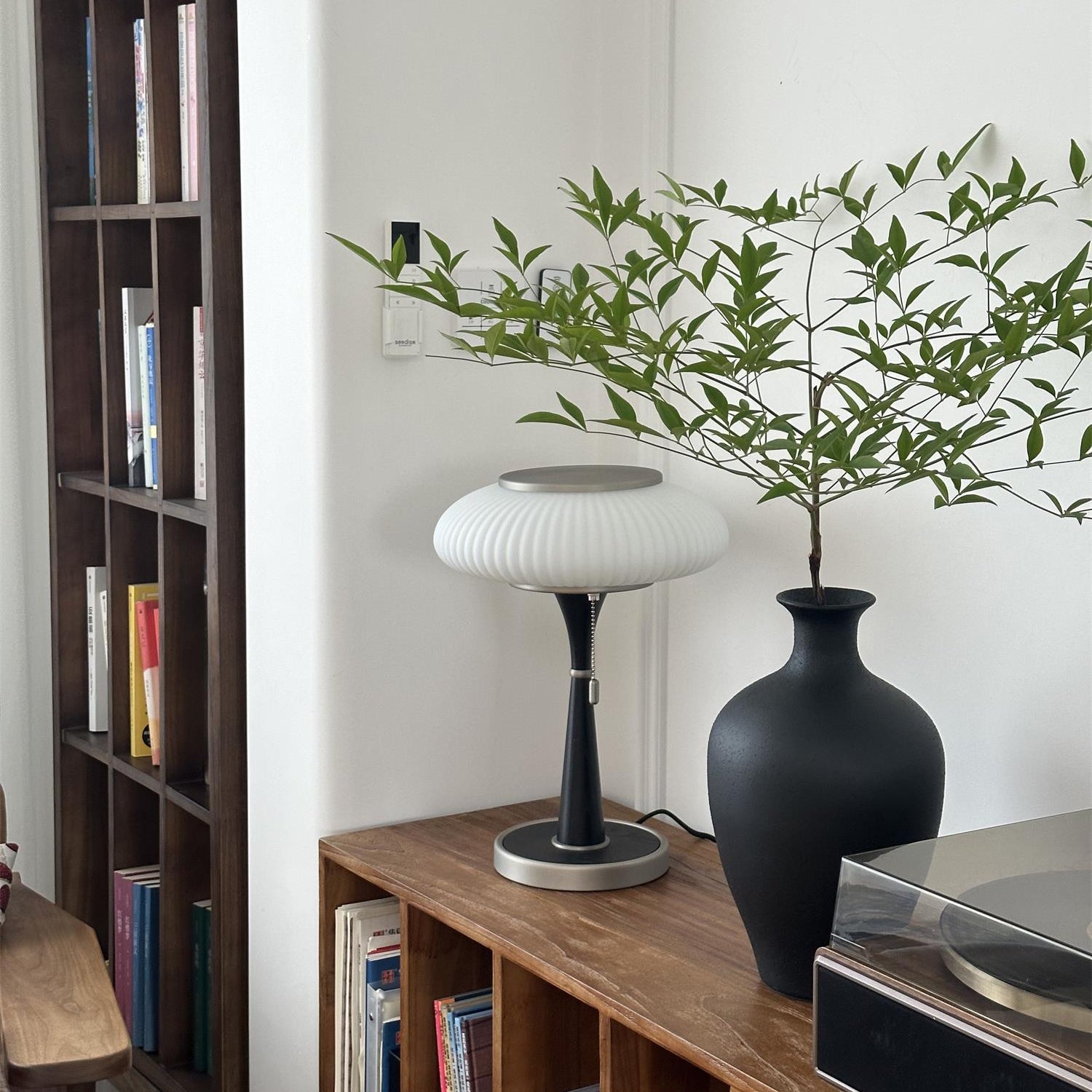 Drift Wood and Glass Table Lamp