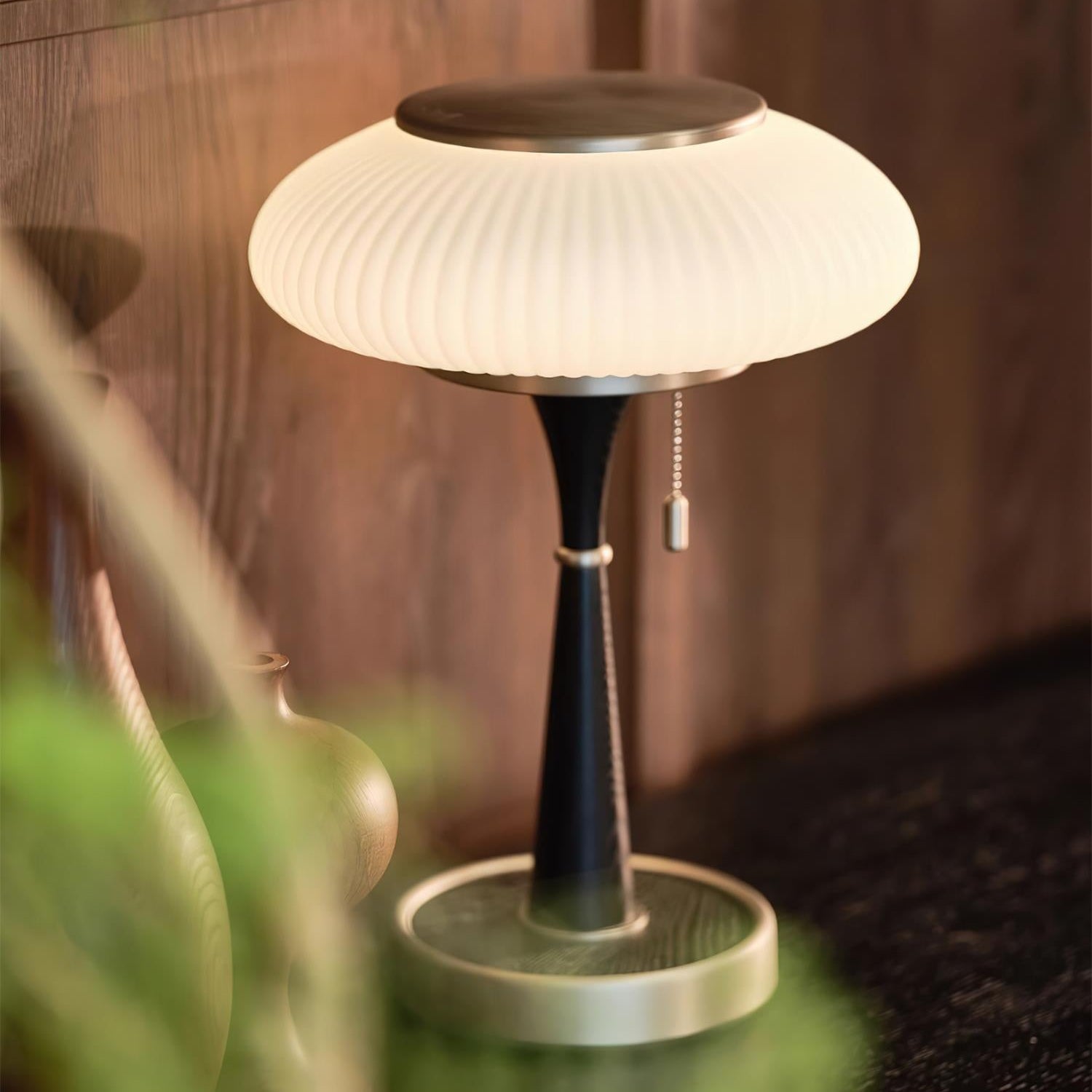 Drift Wood and Glass Table Lamp