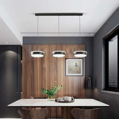 Raheel Simple Círcula Metal/Acrílico Lámpara Colgante Negra/Oro