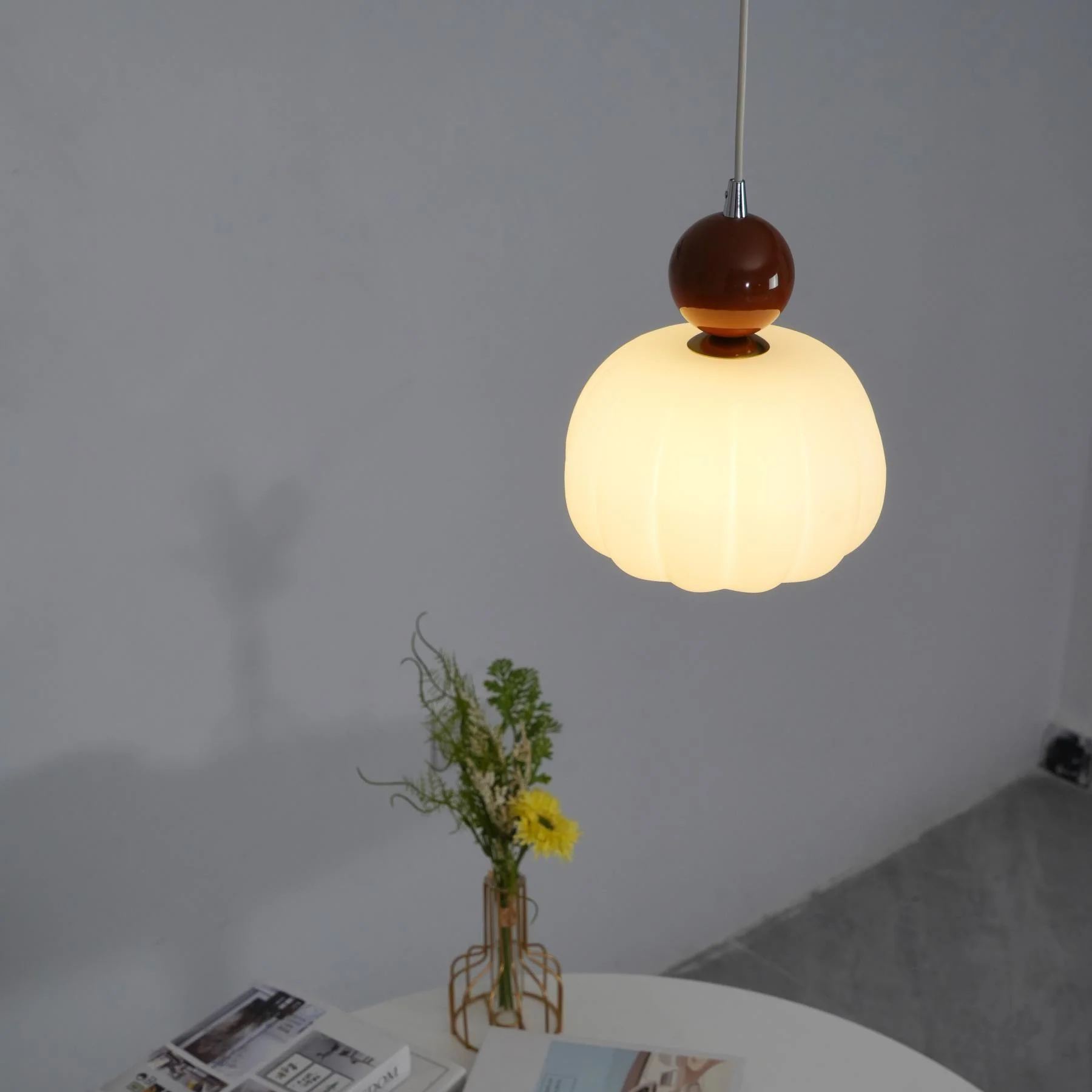 Hailie Modern Round Acrylic Pendant Light Shades Bedroom Dining Room
