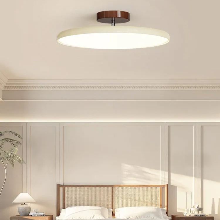 Hailie Minimalismo Metal Acrílico Lámpara de Techo Dormitorio Salón