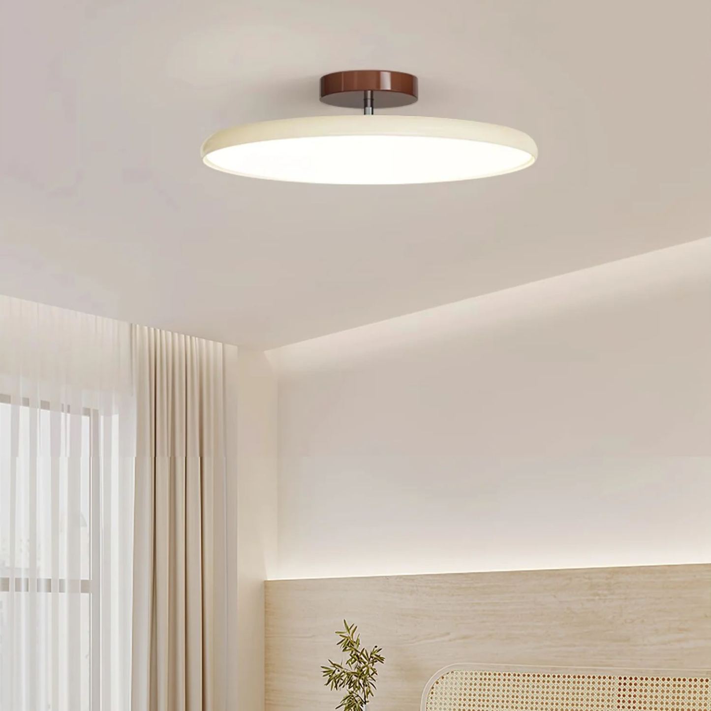 Hailie Minimalismo Metal Acrílico Lámpara de Techo Dormitorio Salón