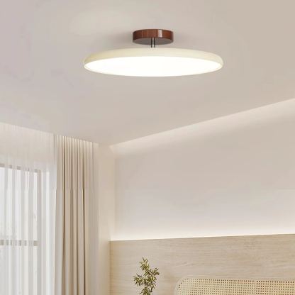 Hailie Minimalismo Metal Acrílico Lámpara de Techo Dormitorio Salón