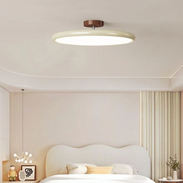 Hailie Minimalismo Metal Acrílico Lámpara de Techo Dormitorio Salón