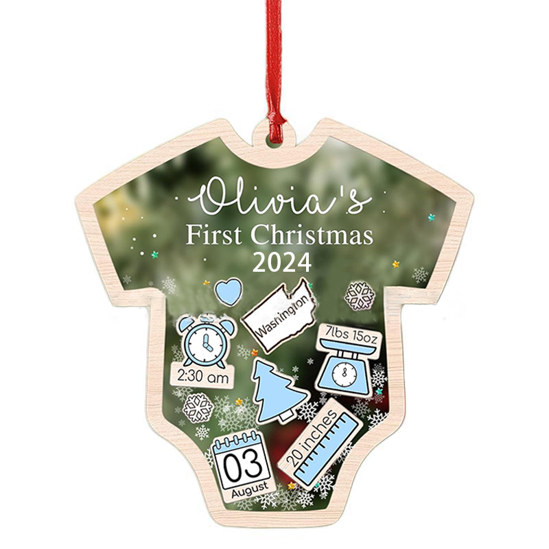 Babys First Christmas Ornament 2024 Personalized Christmas Shaking Orn