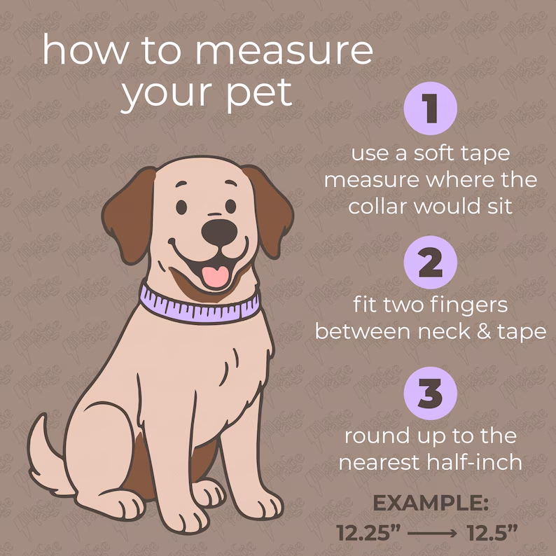 Personalized Black and White Custom Beaded Name Dog Collar Handmade Gift for Pet Lover