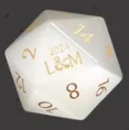 Custom Anniversary D20 Dice Personalized D&D Gift Marriage Dice Annive
