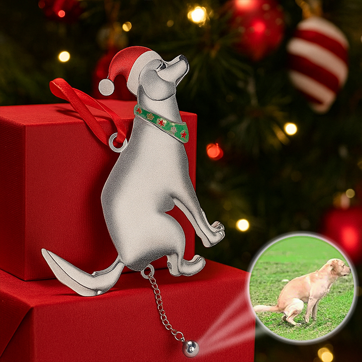 Personalized Picture Projection Ornaments with Photo Inside Christmas Tree Hanging Ornaments Christmas Decoration Gifts