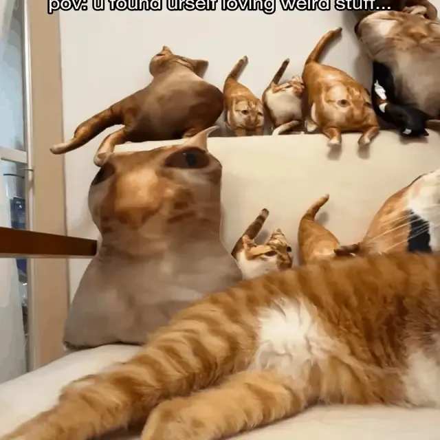 Custom 3D Pet Photo Pillow Personalized Picture Double Sided Printing Pet and Loved Ones Pillow Christmas Gifts