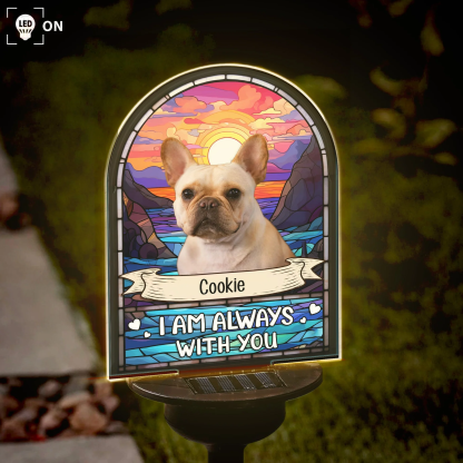 Personalized Memorial Solar Garden Light Memorial Gift for Loss of Pet Photo Light Up Remembrance Stake Memorial Garden Sympathy Gift for Pet Owners