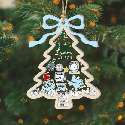 Custom Baby First Christmas Tree Ornament 2025 Baby 1st Christmas 4D Shake Ornament Newborn Gift