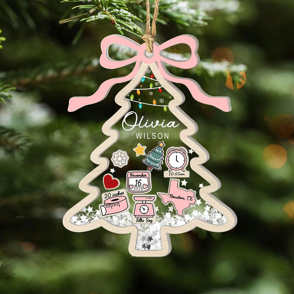 Custom Baby First Christmas Tree Ornament 2025 Baby 1st Christmas 4D Shake Ornament Newborn Gift