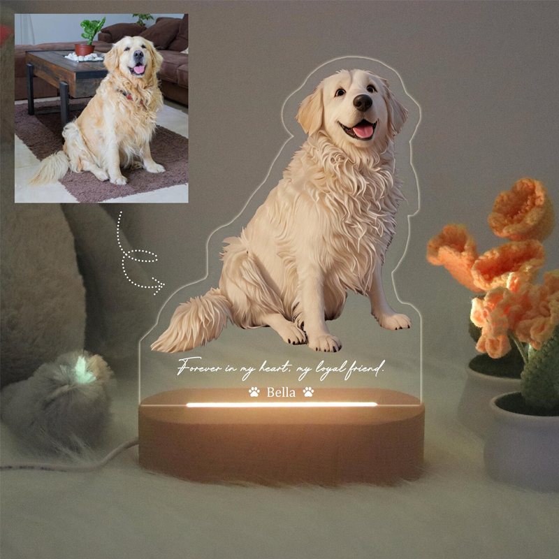Personalized Photo Cartoon Style 3D Photo Frame LED Night Light with Text Pixar Inspired Portraits Family Gifts