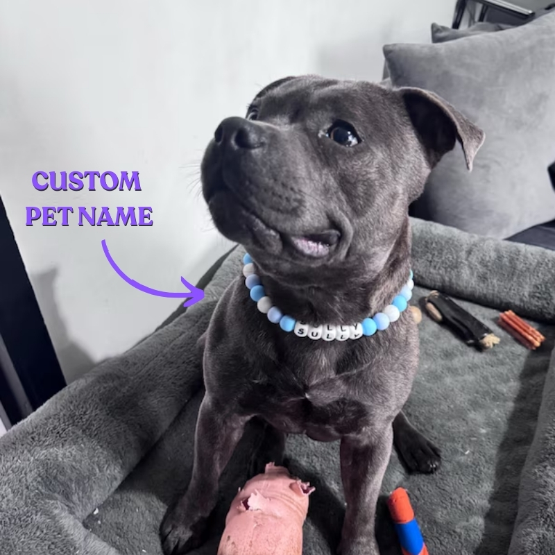 Personalized Beaded Name Dog Collar Durable Waterproof Dog Collar Handmade Gift for Pet Lover