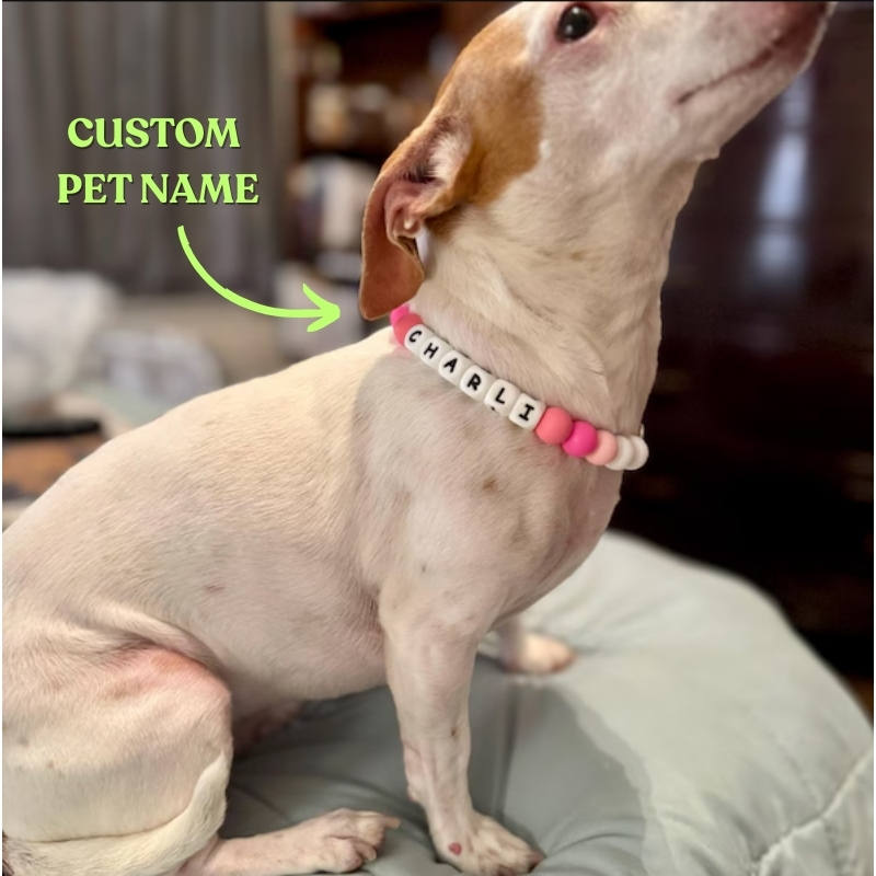 Personalized Beaded Name Dog Collar Durable Waterproof Dog Collar Handmade Gift for Pet Lover