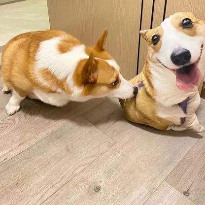 Custom 3D Custom Ugly-Cute Pet Pillow Personalized Photo Printing Pillow Funny Gift for Pets