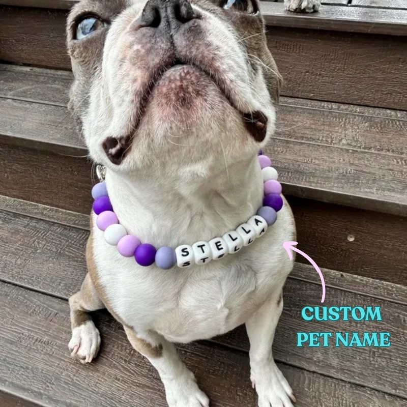 Personalized Beaded Name Dog Collar Durable Waterproof Dog Collar Handmade Gift for Pet Lover