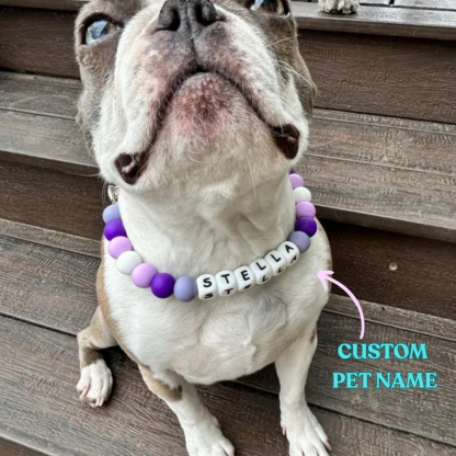Personalized Beaded Name Dog Collar Durable Waterproof Dog Collar Handmade Gift for Pet Lover