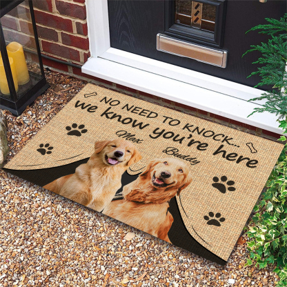 Funny Custom Pet Rug with Photo and Name Personalized Dog Mat for Porch Entryway Gift Idea for Puppy Lovers