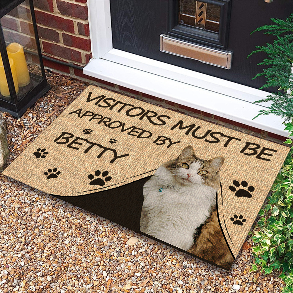 Welcome Doormat with Custom Pet Picture and Funny Quote Personalized Entry Rug Housewarming Gifts