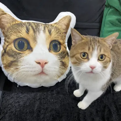 Custom Pet 3D Pillow Personalized Pet Head Face Plush Pillow Funny Home Decor