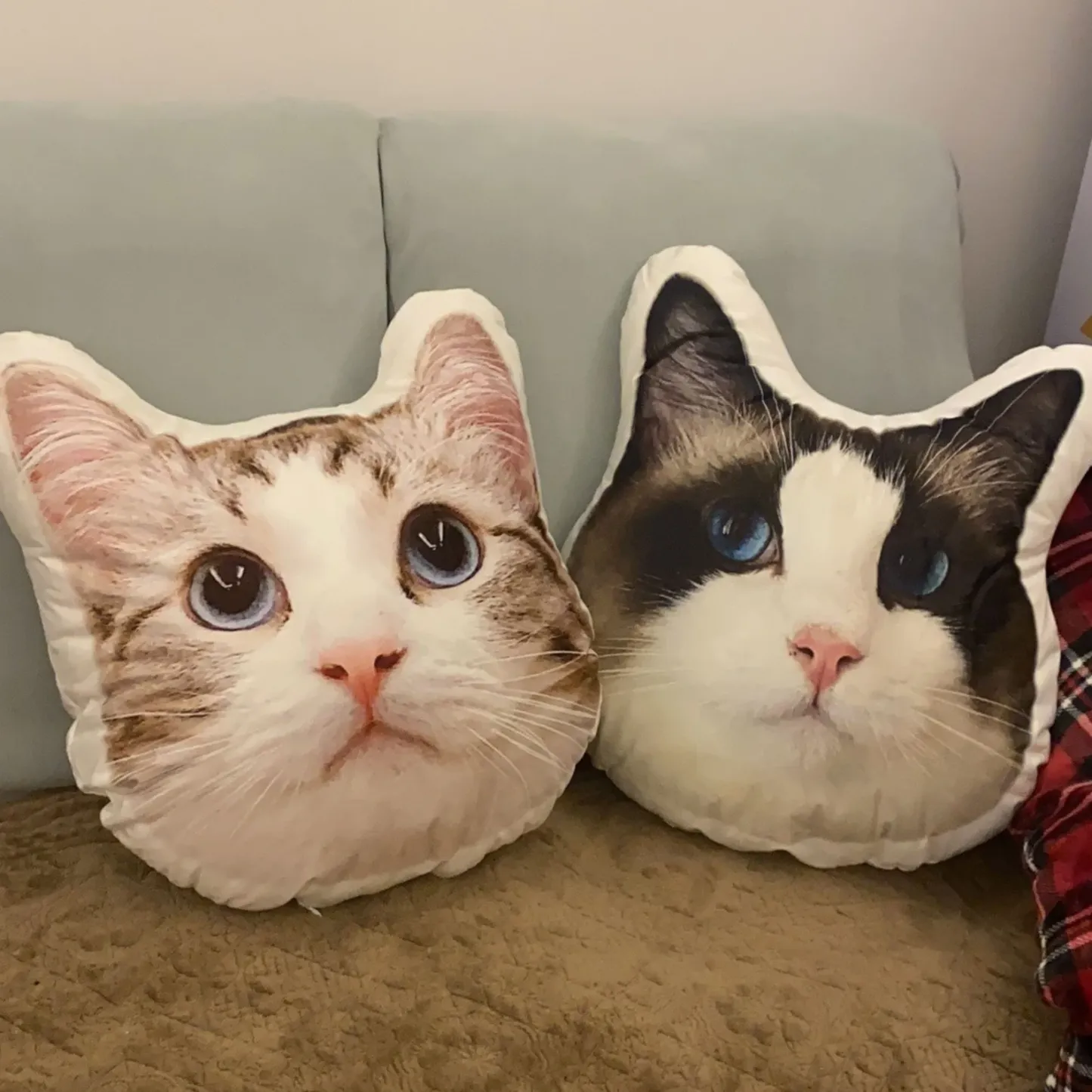 Custom Pet 3D Pillow Personalized Pet Head Face Plush Pillow Funny Home Decor