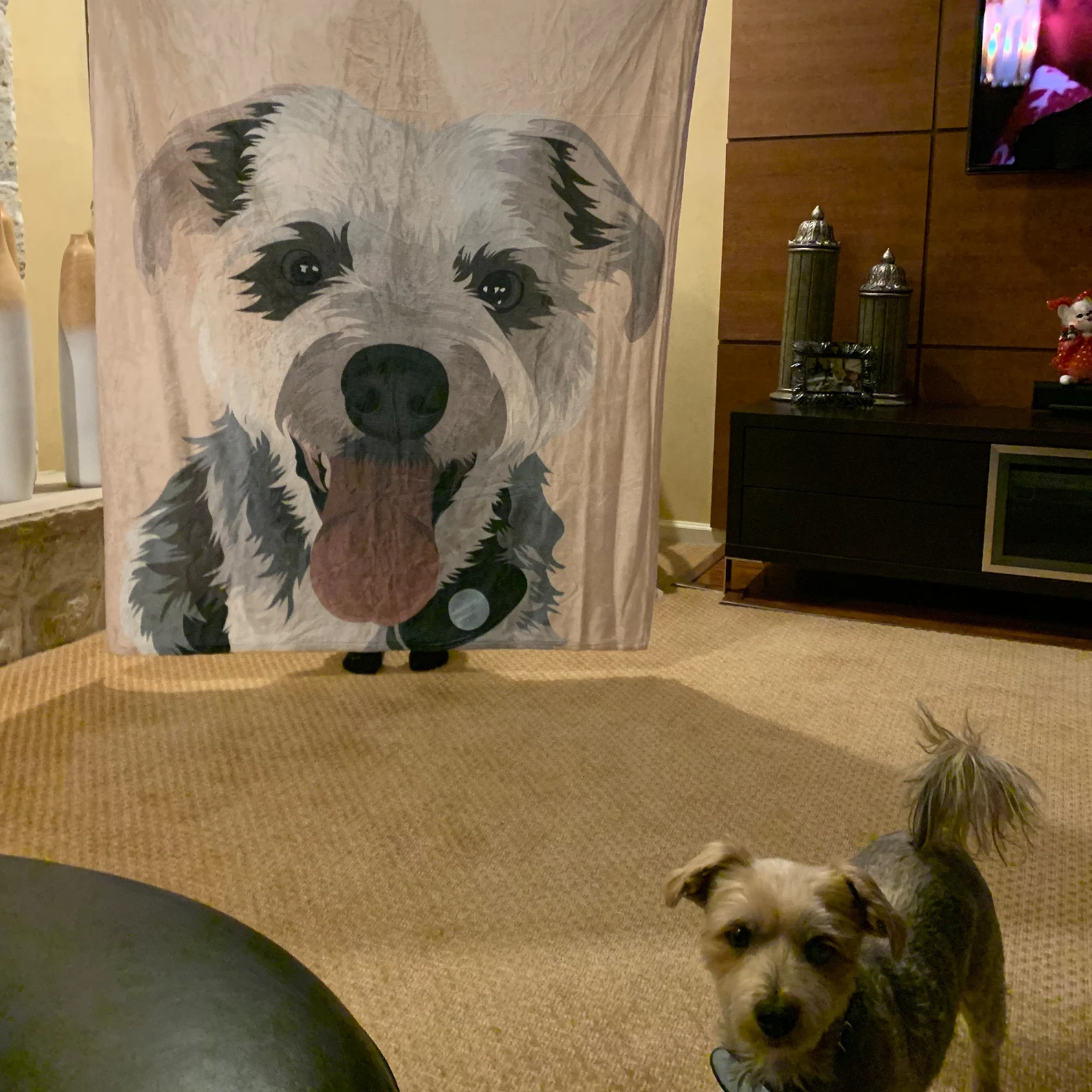 Custom Pet Portrait Blankets from Photo Personalized Dog Picture and Name Blanket Cute Cozy Christmas Gift for Pet Lovers