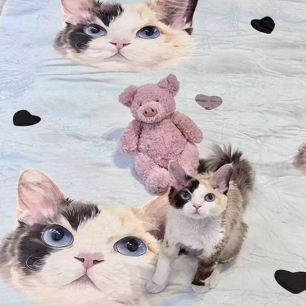 Personalized Pet Photo Blanket Custom Dog Face and Name Blankets Cat Throw Blankets Pet Lover Gifts