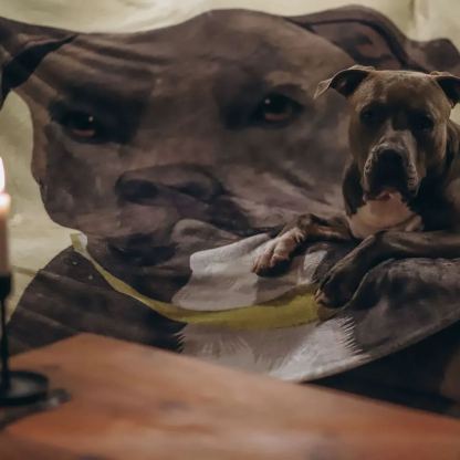 Custom Pet Blanket Pet Portrait Custom Photo Dog Cat Blanket