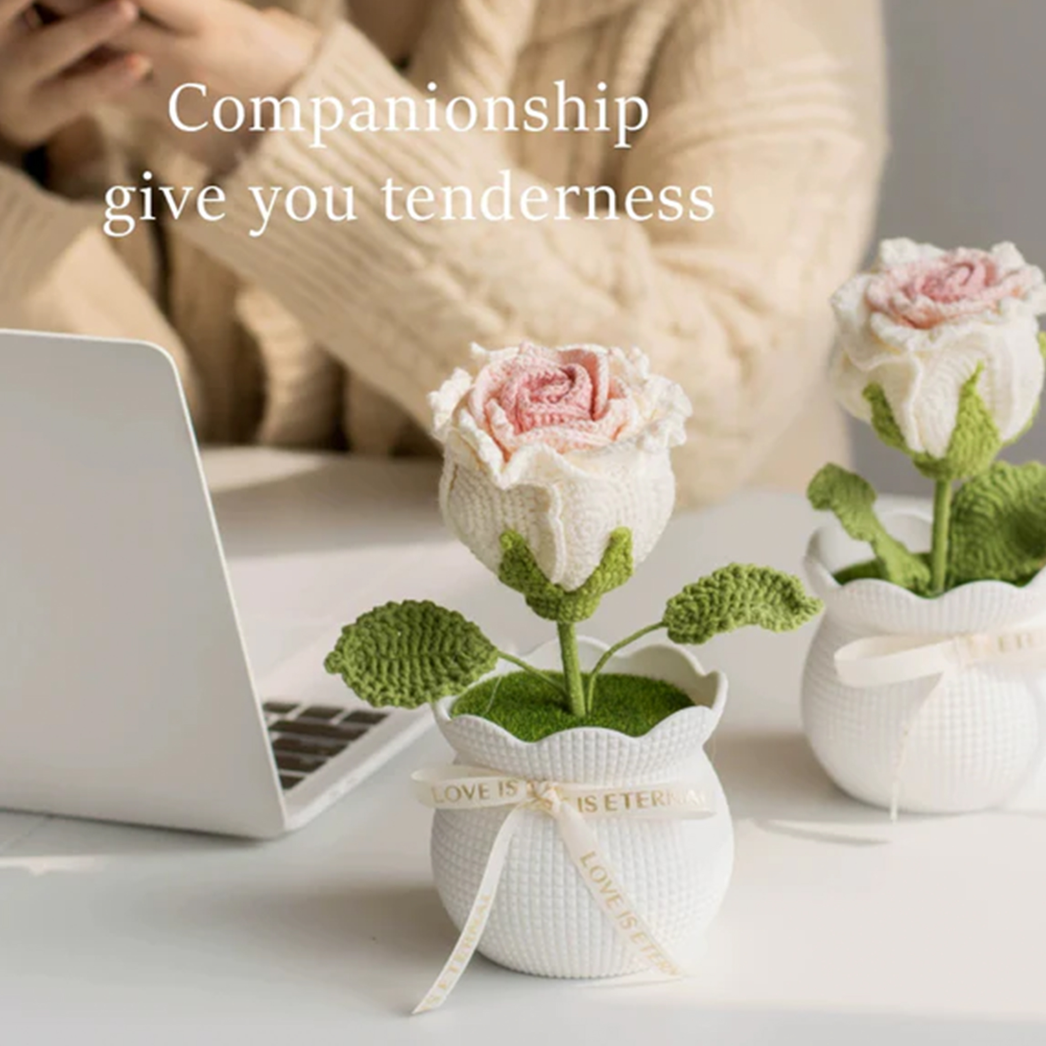 Weave Rose Flower Decoration Pot of Thai Rose Anniversary Gift for Her
