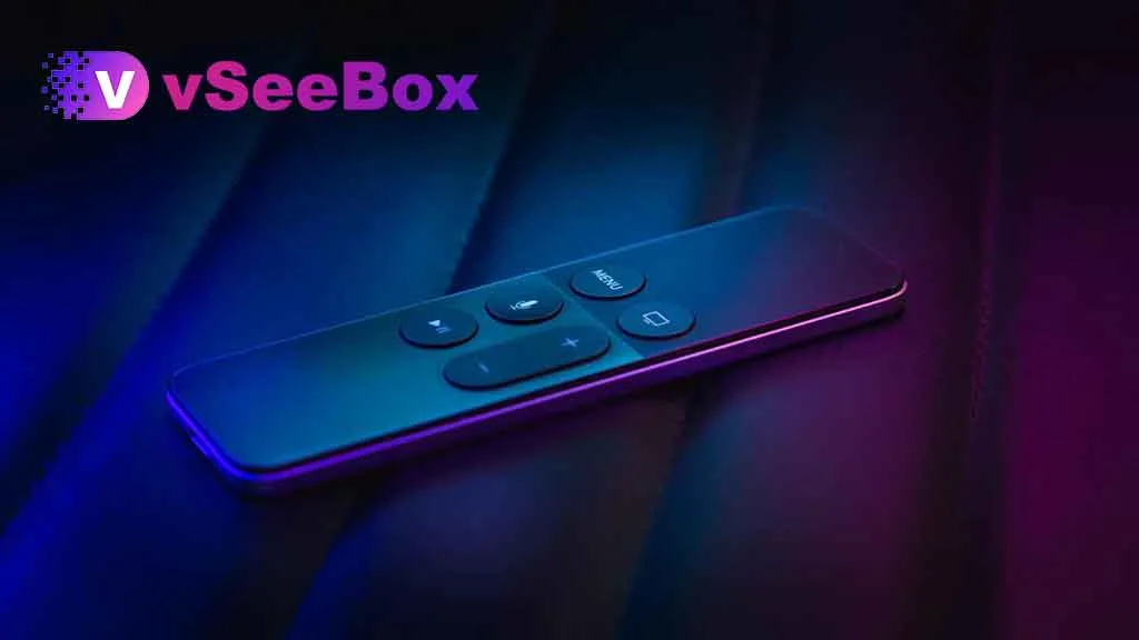 Difference between vseebox and Xiaomi TV box04