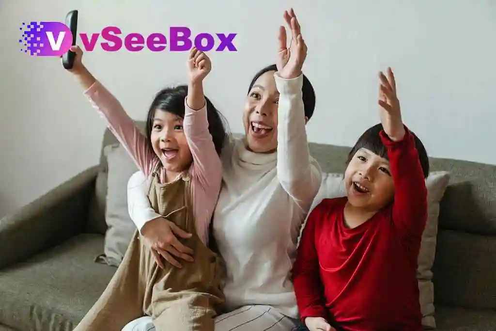 vseebox