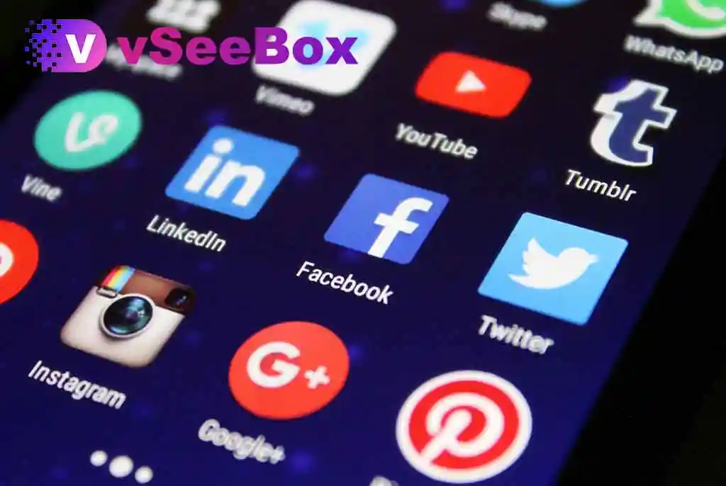 Routers, Repeaters, Powerline, Mesh Networks: The Impact of Choosing Different Network Devices on the Usage Experience of vSeeBox
