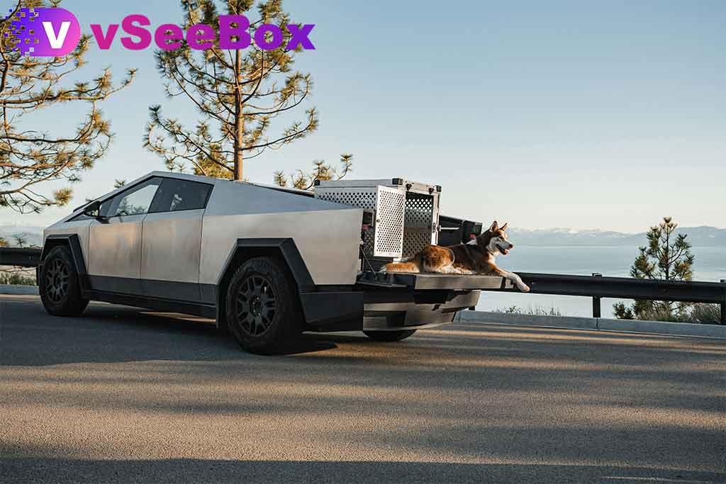 Sharing from vSeeBox Customers: Adding Possibilities to the Camping Lifestyle