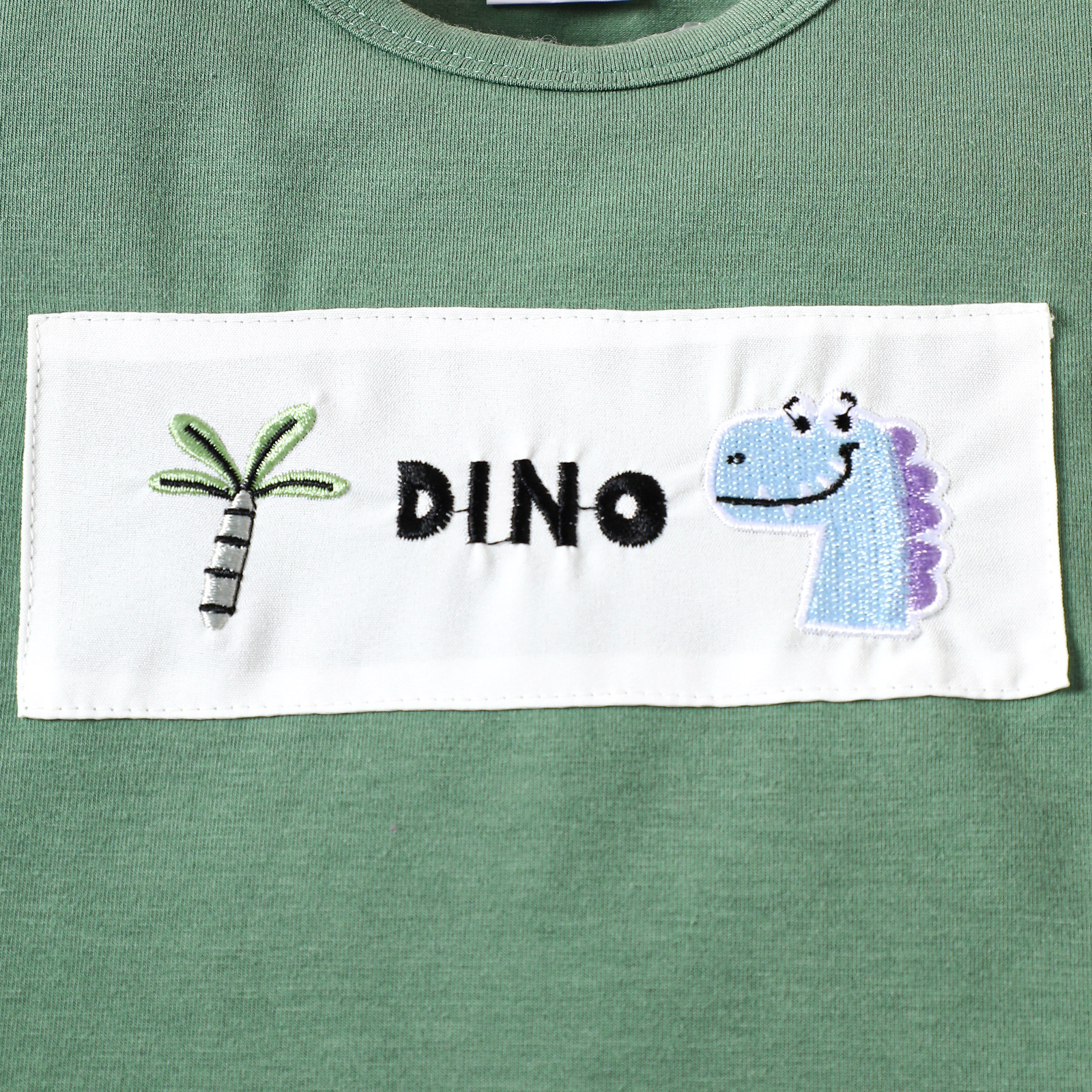Baby Boy Dinosaur Embroidery Suit