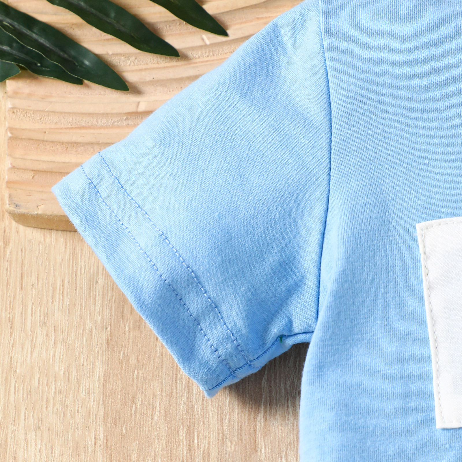 Baby Boy Dinosaur Embroidery Suit