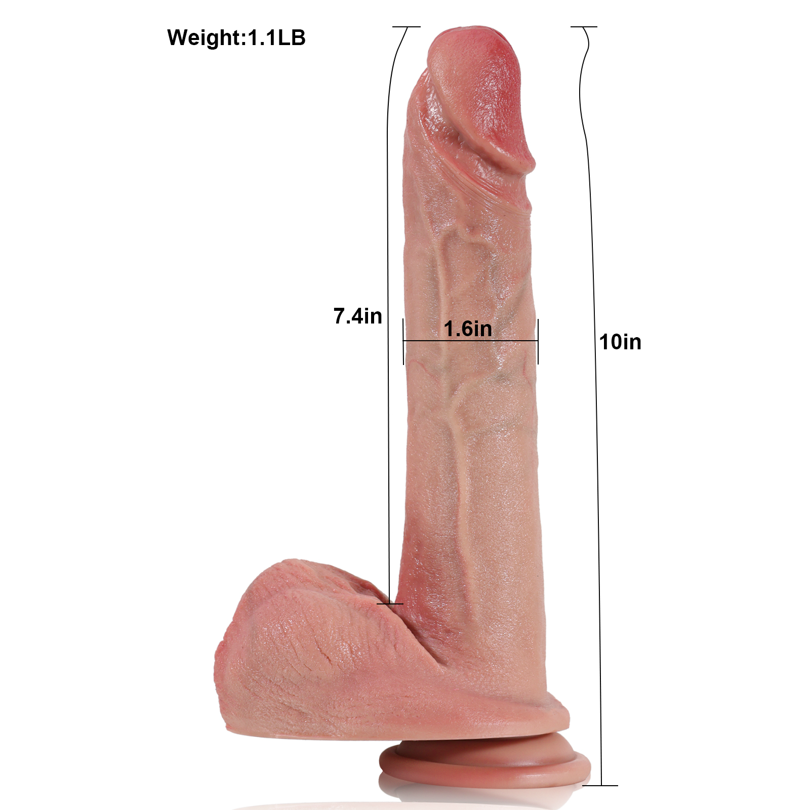 Realistisch Long Anal Zuignap Dildo Met Ballen 25cm