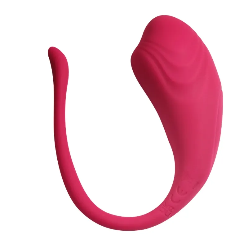 Draagbare APP Remote Wearable Vibrator | Lovetoyshub® NL