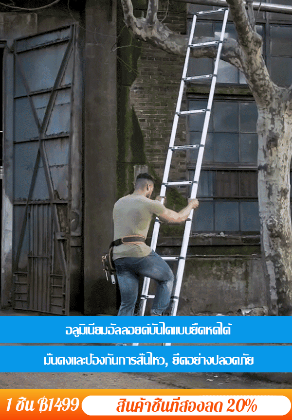 บันไดอเนกประสงค์แบบยืดหดได้