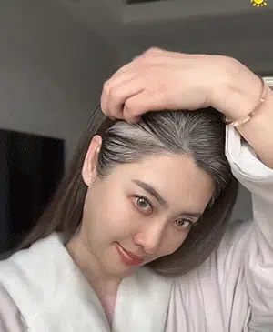 翻译_15.webp