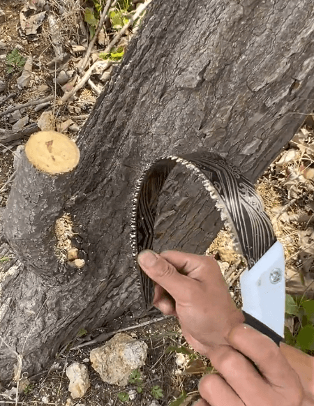 1_10.gif