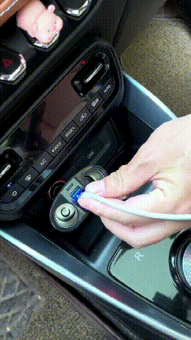 22.gif