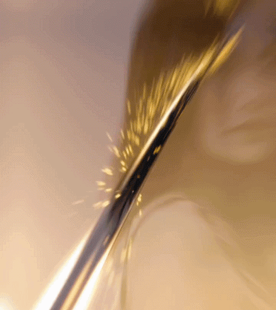 翻译_18.gif