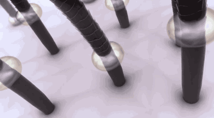 1_29.gif