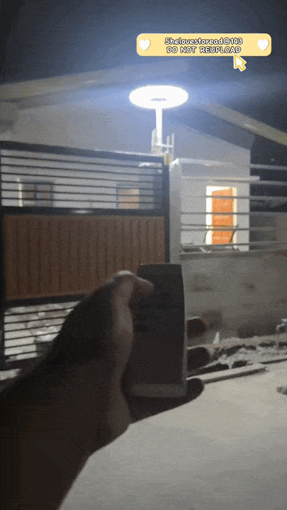 120241224161544_compressed.gif