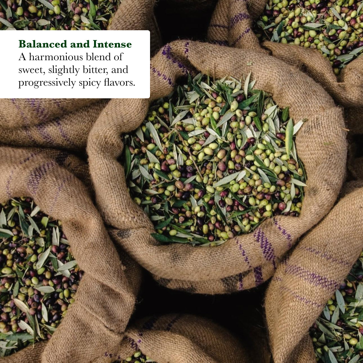 Venta del Baron 2.5L Tin