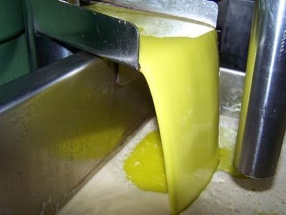 Aceite de Oliva Virgen Extra 5 Litros Picual Oleo Estrella | Aceite de Oliva Virgen Extra de Jaén | Aceite Oliva Virgen Extra 5 Litros